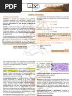 Quimica Sanguinea