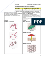 6.-Seres Vivos Unicelulares Y Seres Vivos Pluricelulares Seres Vivos Unicelulares Seres Vivos Pluricelulares