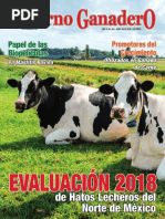 Entorno Ganadero JUN-JUL 2019