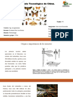 Origen, Distribución y Grupos Taxonómicos de Insectos de Importancia Económica