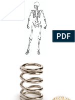 1 Anatomie Du Rachis