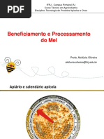 Aula - Beneficiamento e Processamento Mel