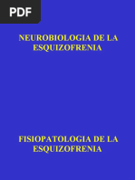 CLASE 26 Fisiopatología-Esquizofrenia