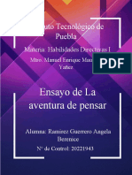 Ensayo La Aventura de Pensar, Ramirez Guerrero