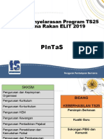 Pintas Ts25