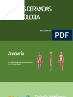 Ciencias Derivadas de La Biologia