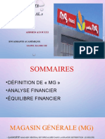 Analyse Financiére MG