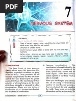 Nervous System