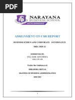 Assignment On CSR Report