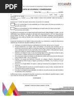 Carta de Acuerdos y Compromisos