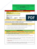 Formato Final y Modelo de Plan de Clase Nivel Preescolar......... 2019