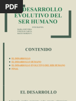 El Desarrollo Evolutivo Del Ser Humano