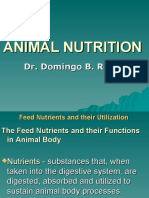 Animal Nutrition Lecture