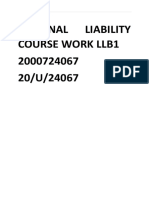 Criminal Liability Course Work