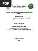 Proyecto de Introduccion A La Administracion