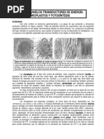 Modulo 10-04