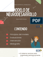 Modelo de Neurodesarrollo