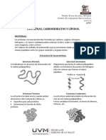 Tarea 2. Proteínas, Carbohidratos y Lípidos.