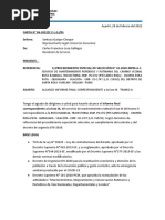 Carta Resdiente Informe Final