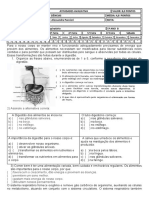 ATIVIDADES AVALIATIVA Ciencias Digestorio Respiratorio