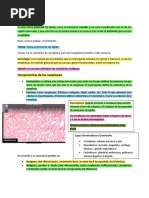 Resumen Final Lab Patologica Part 2