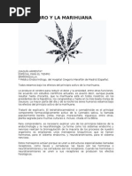 Cerebro y Marihuana