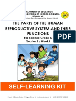 The Parts of The Human Reproductive System and Their Functions