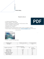 Plan de Afacere Model 4