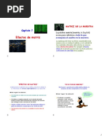 Capitulo 7-Efectos de Matriz