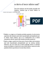 Caso Clínica Embriología MEDICINA HUMANA