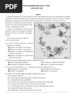 Ficha Ciclos de Vida