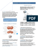 AULA NEUROFISIOLOGIA (Fisioterapia) - SÍNDROMES CEREBELARES