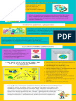 INFOGRAFIA