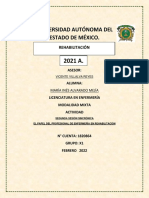 El Papel Del Profesional de Enfermería en Rehabilitación