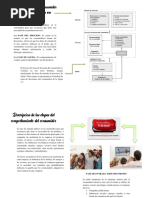 Comportamiento Del Consumidor