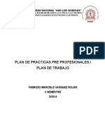 Plan de Practicas Pre Profesionales I 23-06-2021