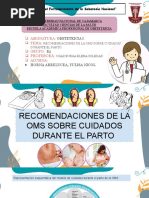 Recomendaciones de La Oms Sobre Cuidados Durante El Parto