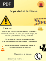 Seguridad de La Escena