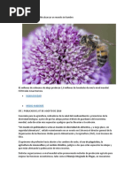 Sin Abejas Sería Imposible Alcanzar Un Mundo Sin Hambre