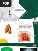 Timo Anatomia 1 3