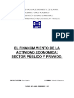 El Financiamiento de La Actividad Economica: Sector Público Y Privado