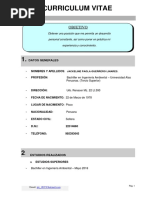 CV-Ing HSE-A Grandez-2022-Actual