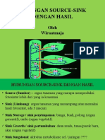 Hubungan Source-Sink Dengan Hasil