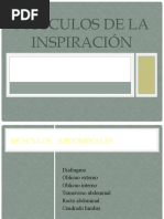 Músculos de La Inspiración