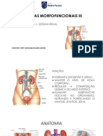 Aula 1 - Sistema Renal 1111111111