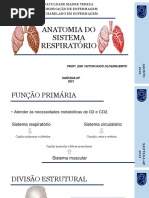 Sistema Respiratório