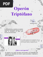 Operón Triptófano BM