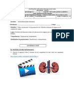 Guia de Aprendizaje Sistema Excretor