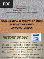 Ost Presentation of DVC