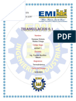 Triangulacion 6.1 - Robles Ortega Vanessa Victoria